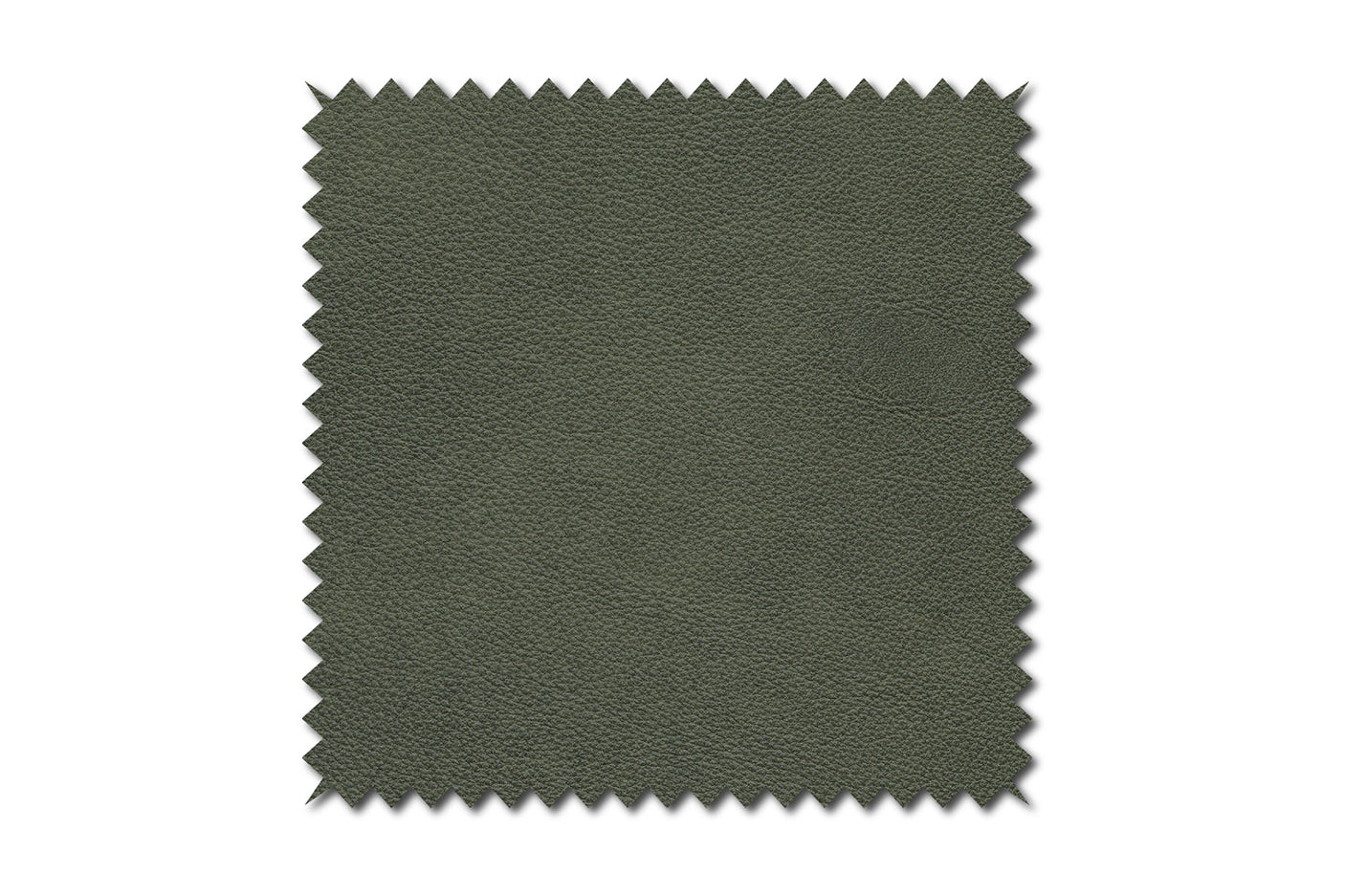 d29810c7-d93d-4b0d-9f0a-09b478005d7b