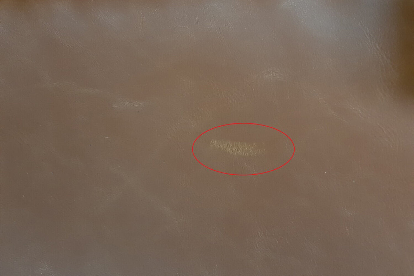 880b8d25-4bb1-494a-8349-da4bfddd5893