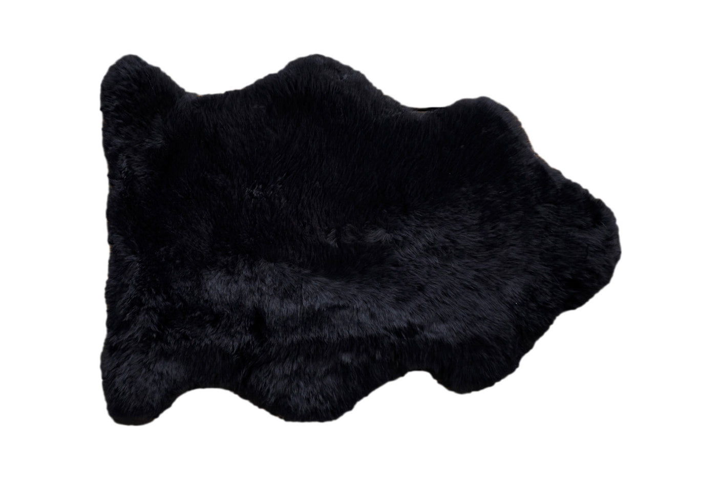 ef75e694-b5ad-4002-846b-eeafd93e52d3