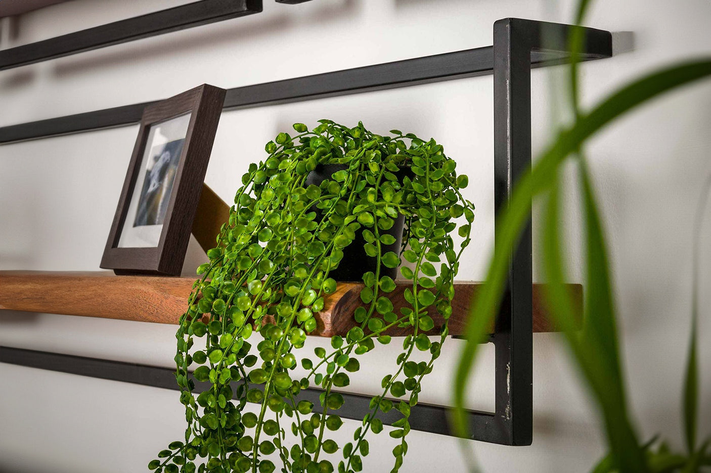 2b375641-68bc-4dd6-8804-6a03a15133b1