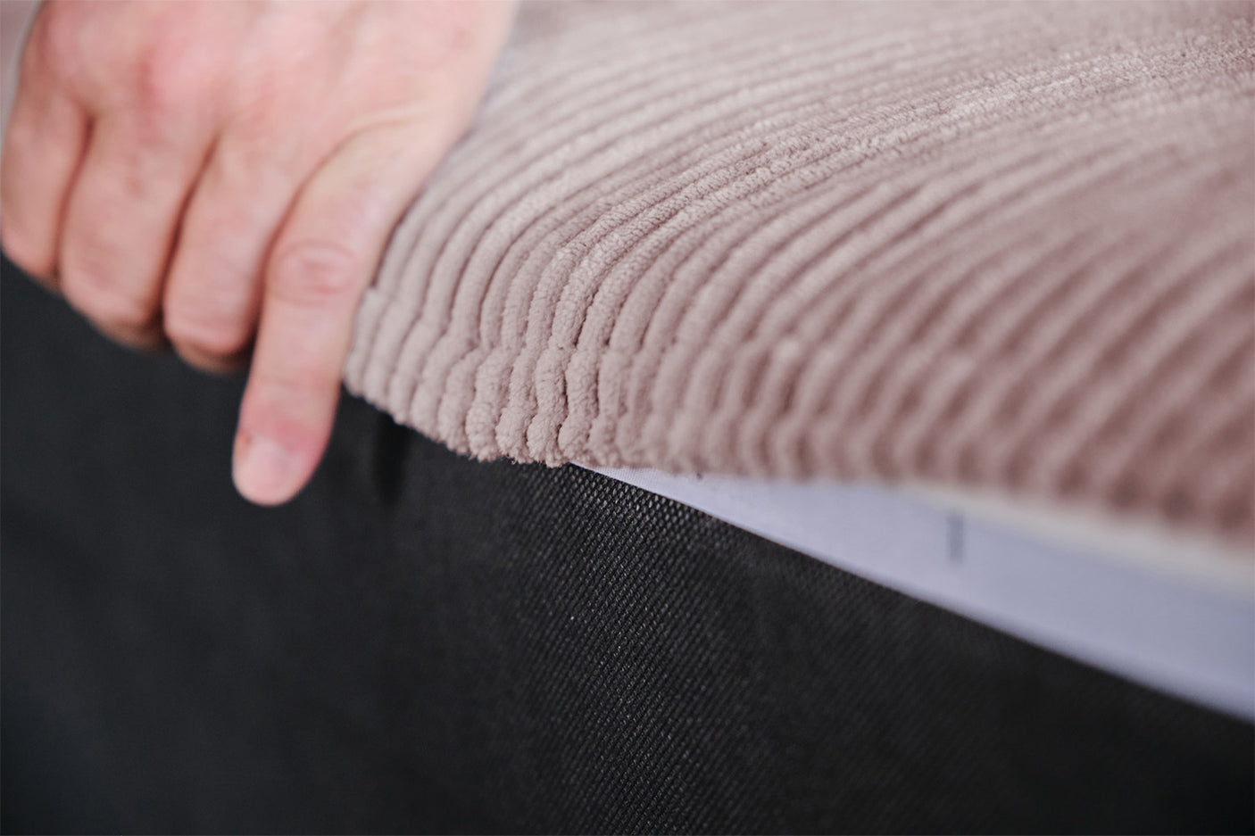 92f54d14-41a2-49fa-bd5e-cba83e7cd9f0