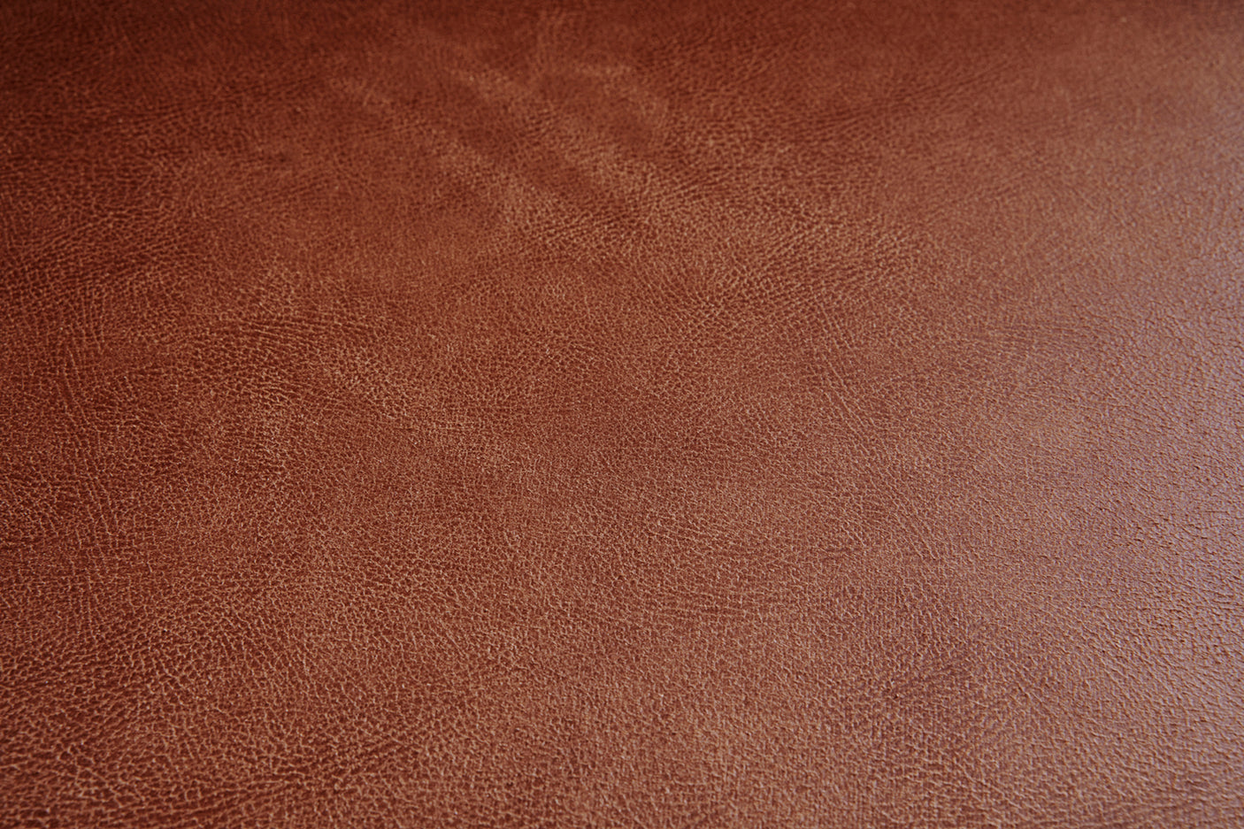 c1c228ec-1b1a-4a6c-90db-ff1055ad6a47