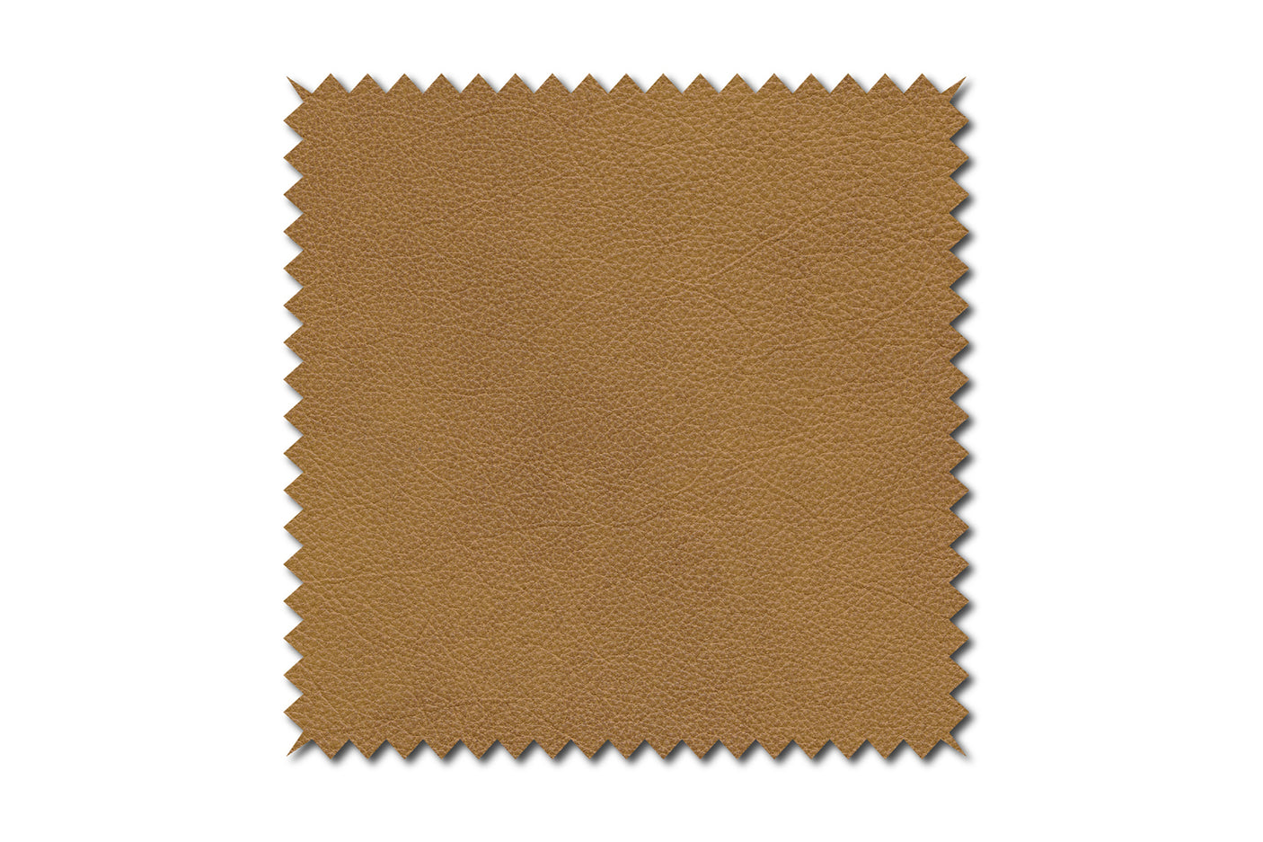 553143ee-f111-423c-9a83-9af2853f6aa5