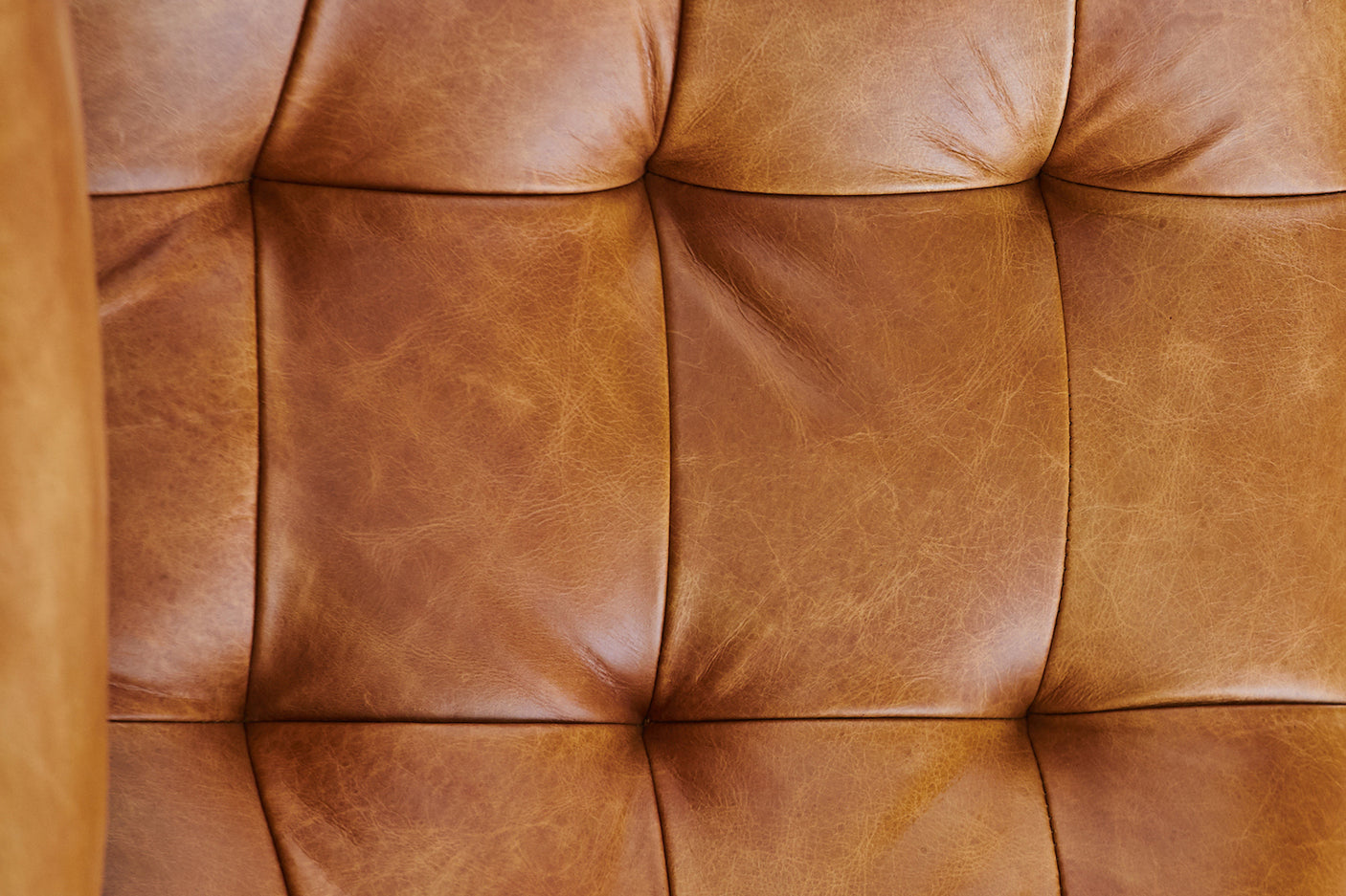 d6f9badf-1f02-4ffb-a37f-781187675832