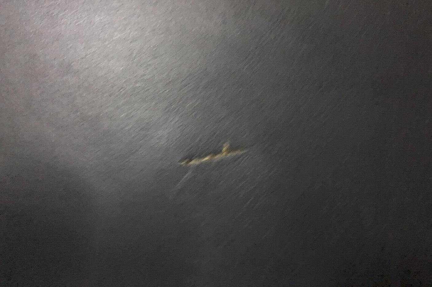 594ed1d1-7bcc-43a9-bd08-e31c947d8615