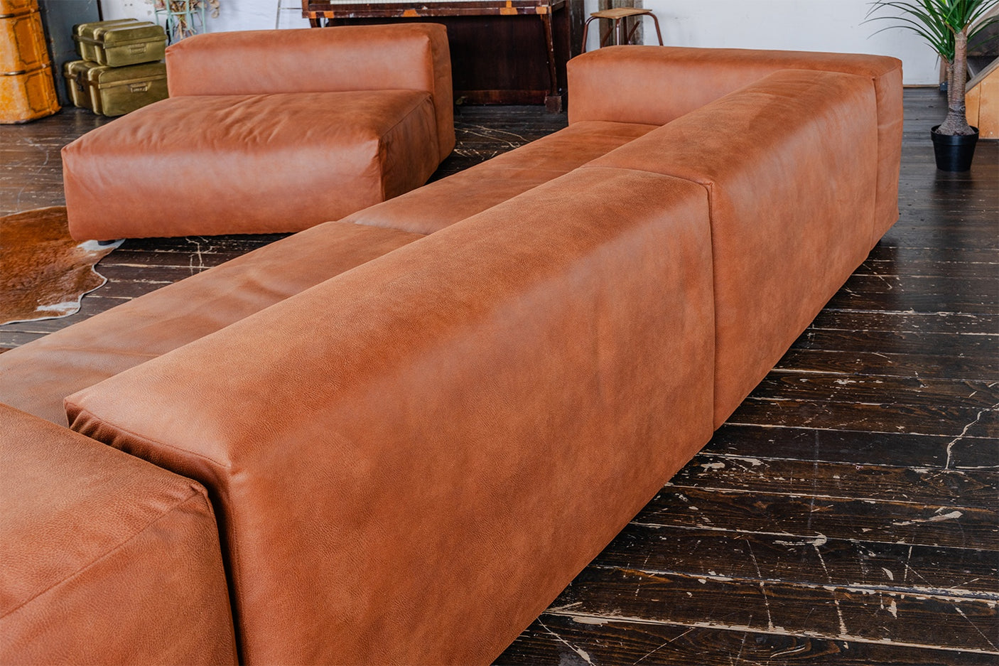 86ed531b-4bb8-4e30-9c45-bf49f17c00d6