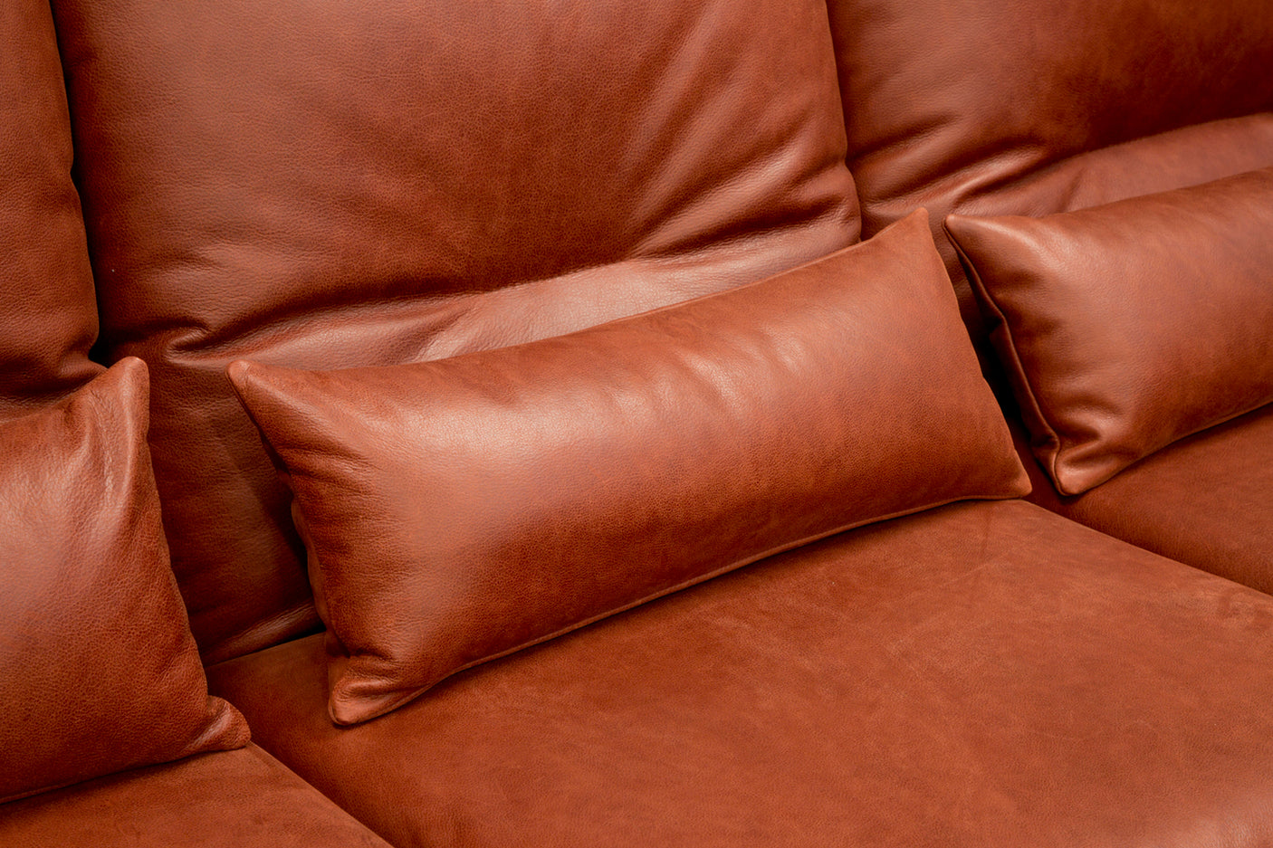 a89e9ed5-e83b-48a8-ad9c-91b91e586937