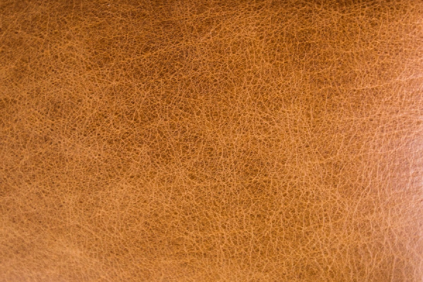 4f7a7ca0-d350-4fa7-859b-fc56ae1f39c5