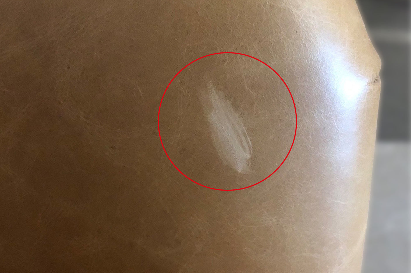 49f80ce2-ebf8-47b3-930e-060253525fb2