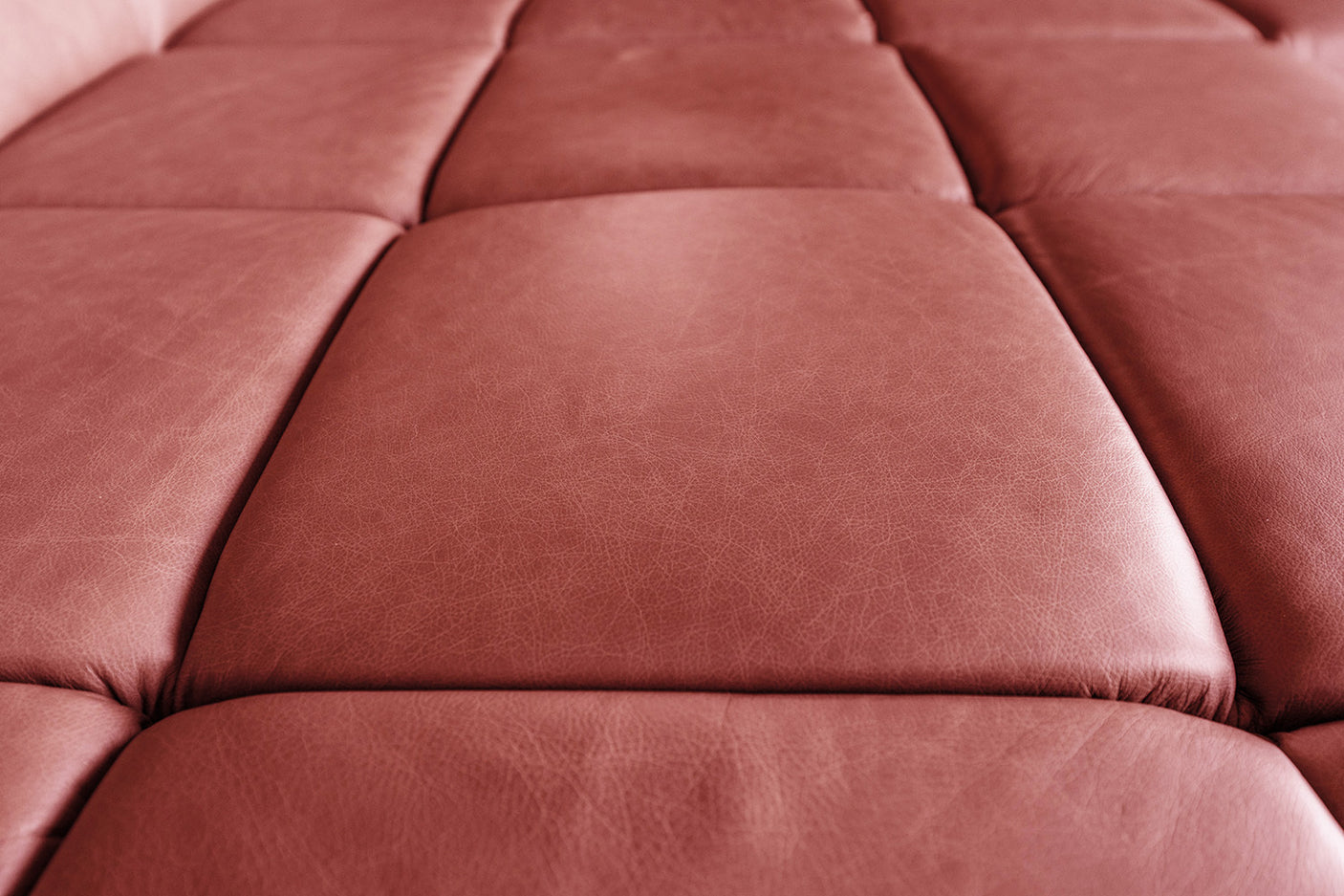 ff53bad2-0e80-4d5e-8521-8d6d74705cd1