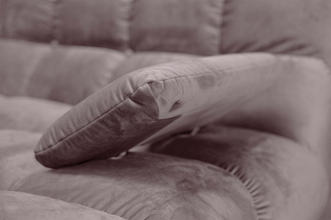 d8210ceb-55c6-48b3-bc28-b9580b32afad