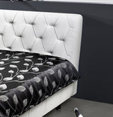 a6647636-41d6-4ab6-8995-741002053c46