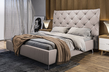 KAWOLA Bett ANNY Polsterbett Leder hellgrau, 200 x 160 cm, 146