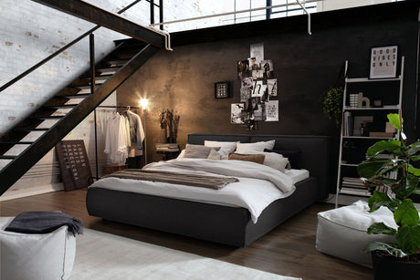 KAWOLA Bett CARLO Polsterbett Stoff schwarz, 200 x 200 cm