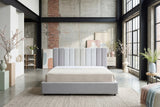 KAWOLA Bett CATTURA Polsterbett Velvet grau